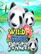 หมุน วง ล้อ slotxo สนุกจัดเต็ม พร้อมทดลองเล่น